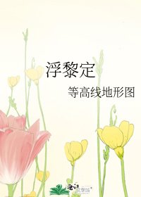 浮黎定
