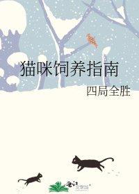 猫咪饲养指南
