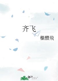 齊飛