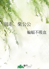 別走 柴公公