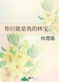 你只能是我的林寶.