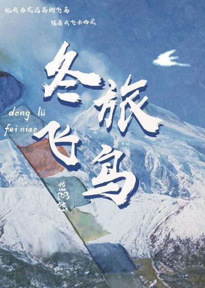 冬旅飛鳥