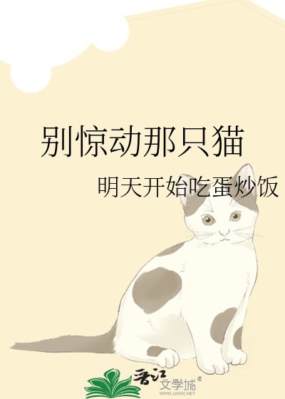 别惊动那只猫