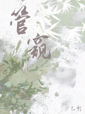 管窺