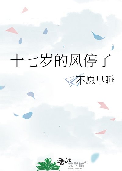 十七歲的風停了