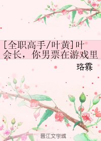 (BL/全職高手同人)葉會長,你男票在遊戲裡被一葉之秋那個不要臉的男人拐走啦!!