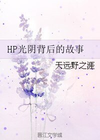 (BL/HP同人)HP光陰背後的故事