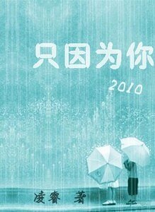 只因為你「2010」(又名:只因為你「結」)