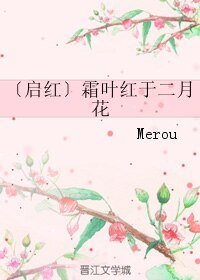 (BL/老九门同人)〔启红〕霜叶红于二月花